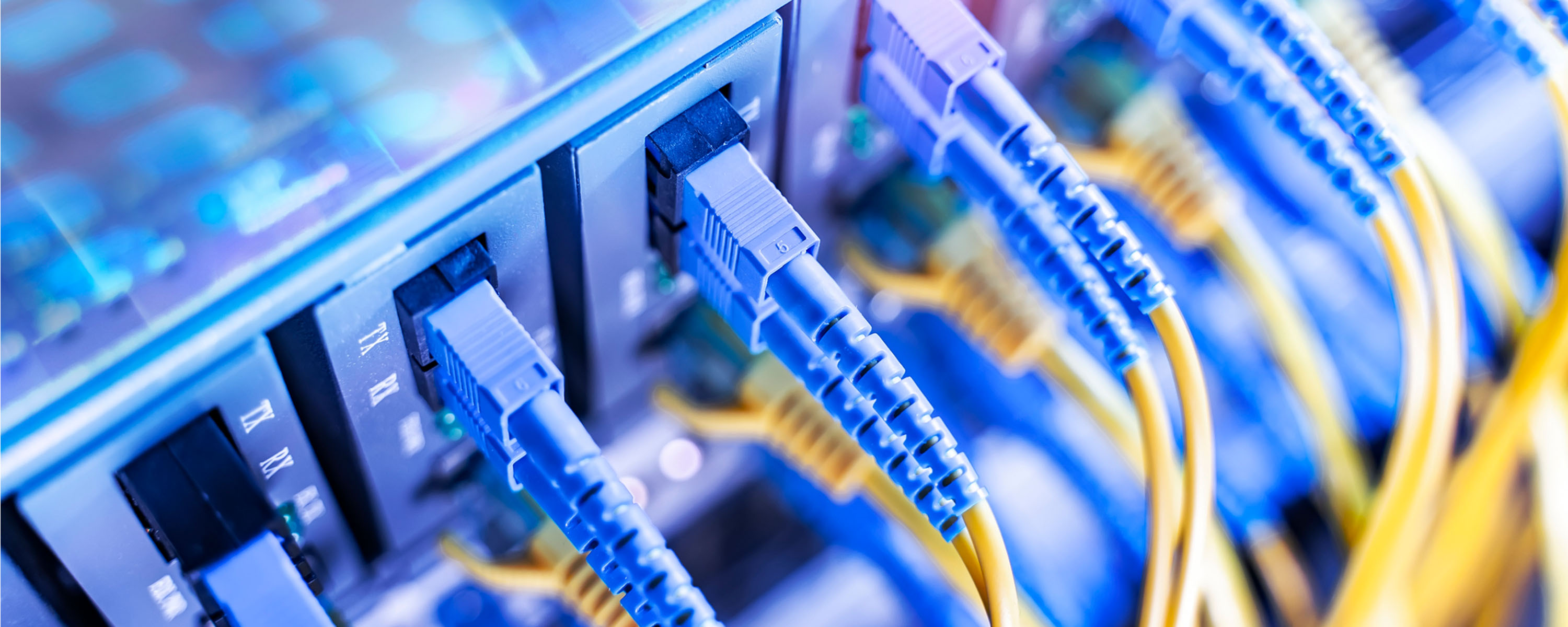 DataBank Digest