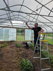 A DataBank volunteer works inside Bonton Farms greenhouse