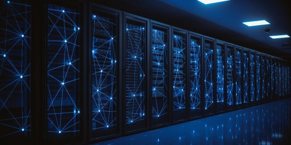 Colocation servers with segmented network architecture